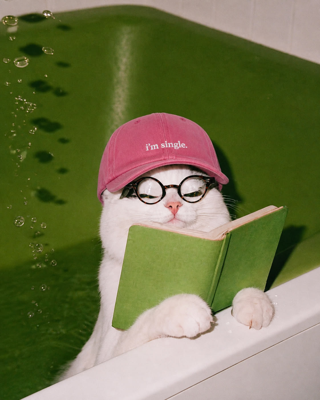 A white cat in a green bathtub wearing a pink baseball cap that says 'I'm single.' and black-rimmed glasses, reading a green book.